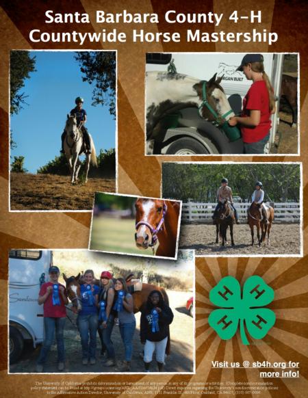 Horse Mastership Project Updated JPEG